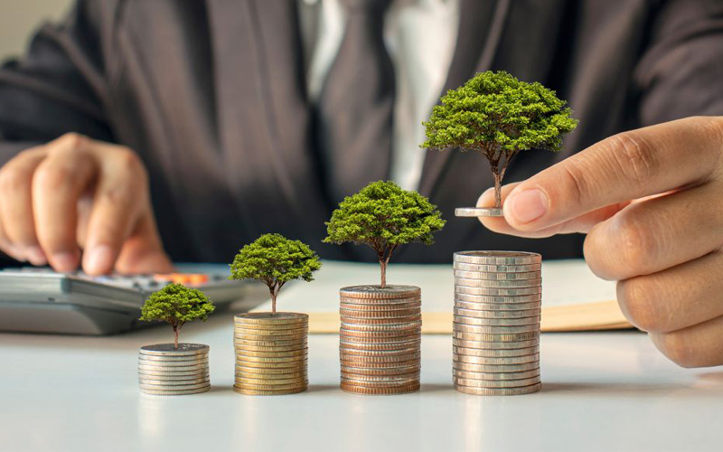 Thị Trường Cho Thuê Văn Phòng Tại Đà Nẵng 5 cho thuê văn phòng tại đà nẵng
