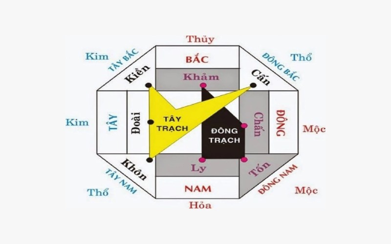 Hướng Dẫn Chọn, Đặt Bể Cá Để Bàn Làm Việc Giúp Sinh Tài Lộc 2 Bể cá để bàn làm việc