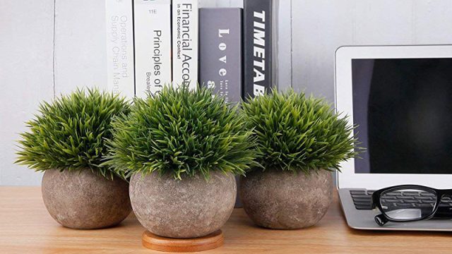 Cách Đặt Đồ Phong Thủy Để Bàn Làm Việc Chuẩn Không Cần Chỉnh 2 Cách Đặt Đồ Phong Thủy Để Bàn Làm Việc Chuẩn Không Cần Chỉnh