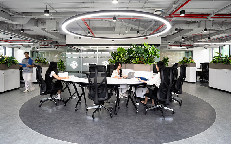 Mệnh Mộc Hợp Cây Gì? 5 Loại Cây Phong Thủy Giúp Thịnh Vượng 8 mệnh mộc