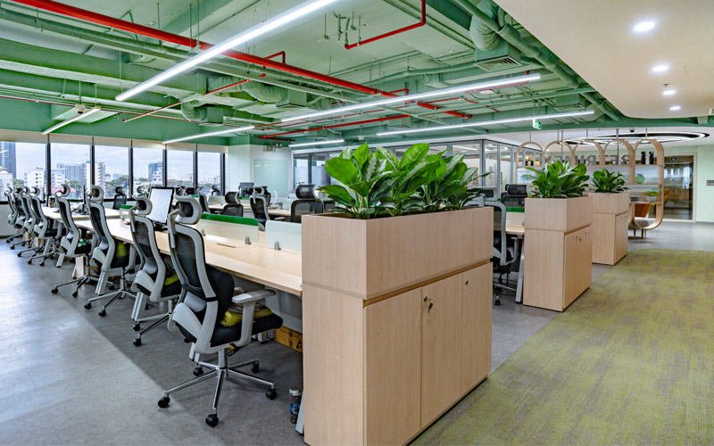 Thiết Kế Văn Phòng Xanh - Biophilic Design 2 thiết kế văn phòng xanh