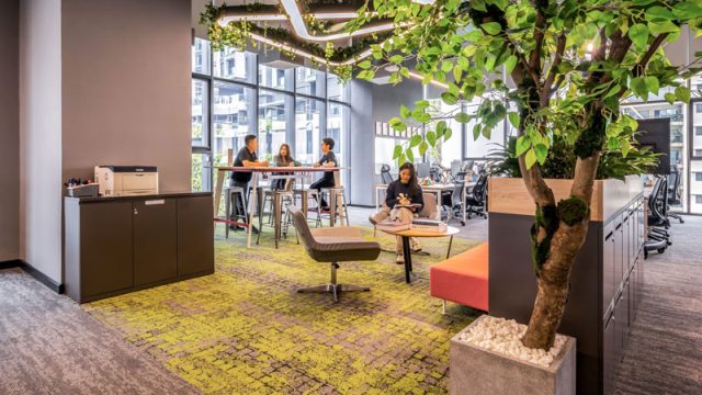Thiết Kế Văn Phòng Xanh - Biophilic Design 3 Thiết Kế Văn Phòng Xanh – Biophilic Design