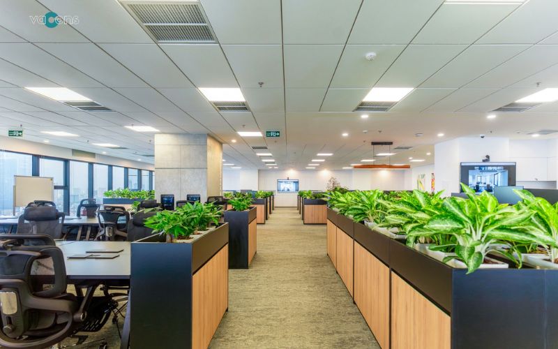 văn phòng xanh