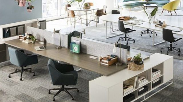Mẹo Thiết Kế Văn Phòng 30m2 Đẹp & Hiện Đại Tối Ưu Không Gian