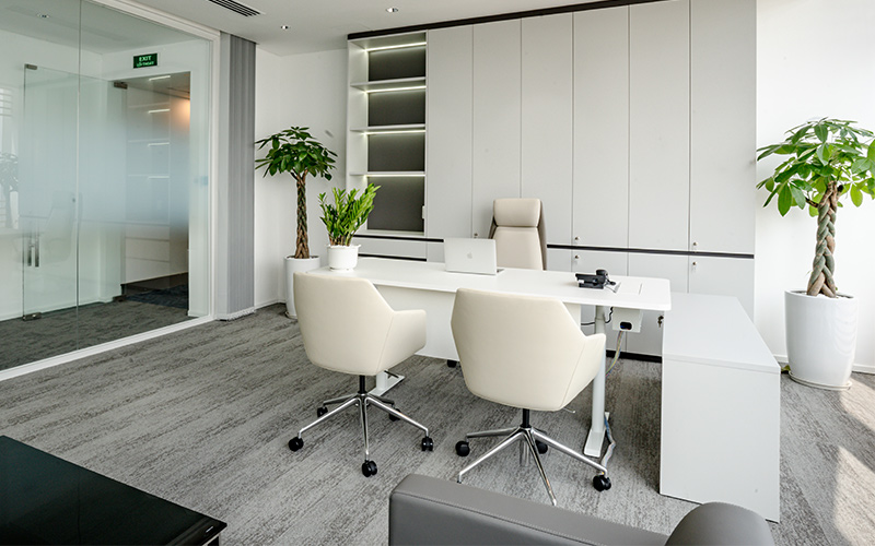 trang trí cây xanh văn phòng