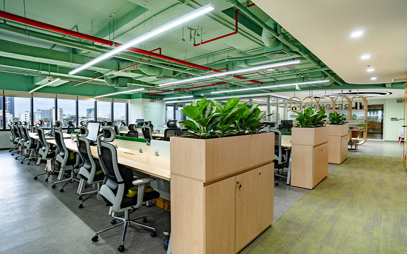 trang trí cây xanh văn phòng