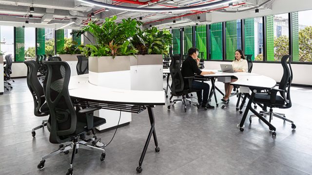 Bí Quyết Trang Trí Cây Xanh Văn Phòng Chuẩn Phong Thủy 2 Bí Quyết Trang Trí Cây Xanh Văn Phòng Chuẩn Phong Thủy
