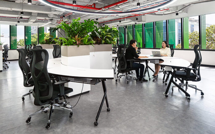 trang trí cây xanh văn phòng