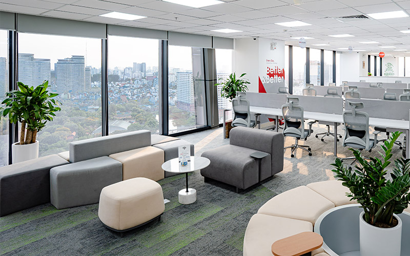 trang trí cây xanh văn phòng