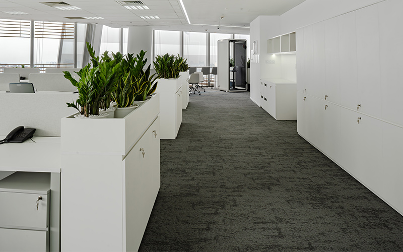 trang trí cây xanh văn phòng