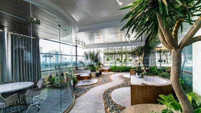 Gợi Ý 5 Cây Trồng Trong Văn Phòng Đẹp Và Dễ Chăm Sóc 2 Gợi Ý 5 Cây Trồng Trong Văn Phòng Đẹp Và Dễ Chăm Sóc