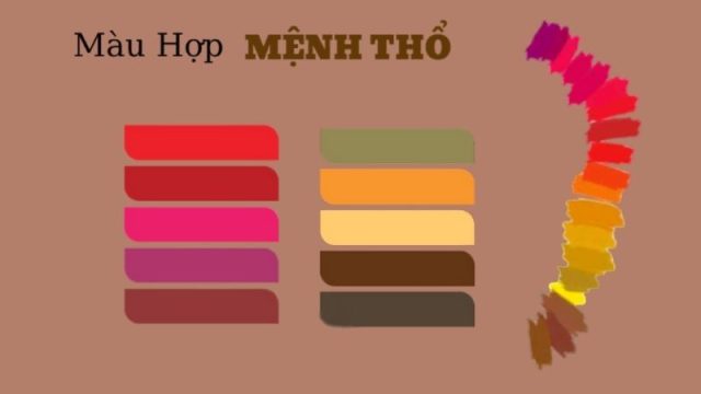 Người Mệnh Thổ Hợp Màu Gì? Lựa Chọn Không Gian Làm Việc Như Thế Nào? 1 Người Mệnh Thổ Hợp Màu Gì? Lựa Chọn Không Gian Làm Việc Như Thế Nào?