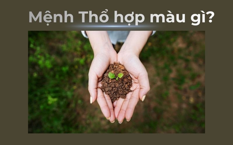 Mệnh Thổ 