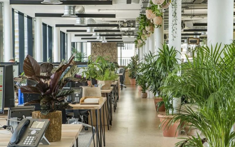 thiết kế văn phòng nhà ống
